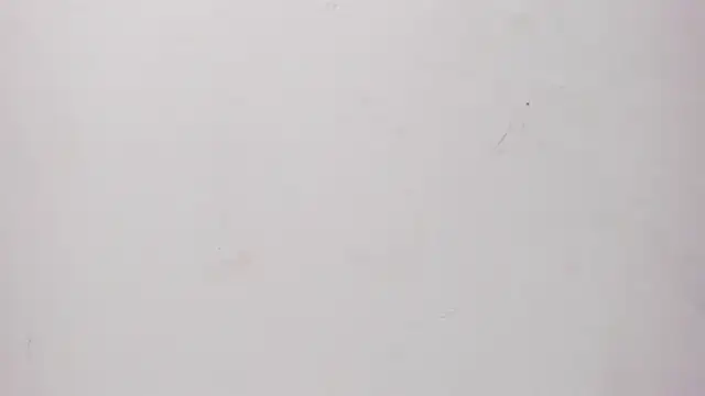 Sofia summers online show from 11.25.25