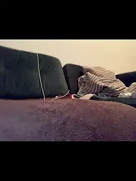 Immerhartundgeil online show from 04.11.26