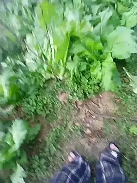 kemtuoi-sex online show from 01.17.26