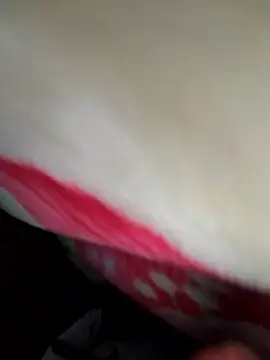 Chanderi19 online show from 04.15.26