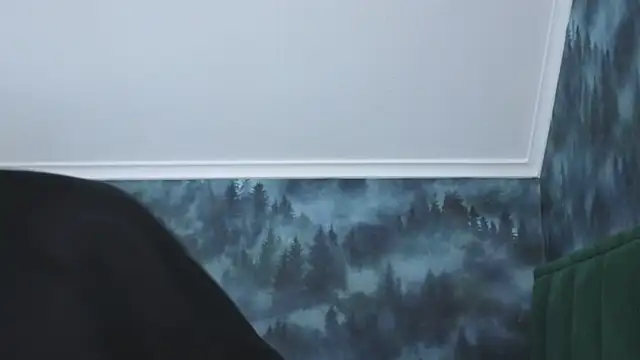 Snapshot of MarkShot_ chatting on 11.20.25 MarkShot online show from 11.20.25