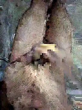 ash706339 online show from 09.19.25