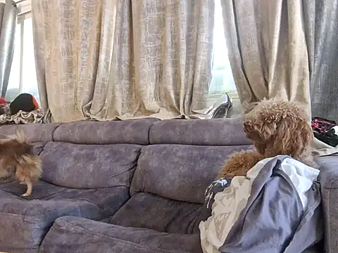 Alexis21821 online show from 12.03.25