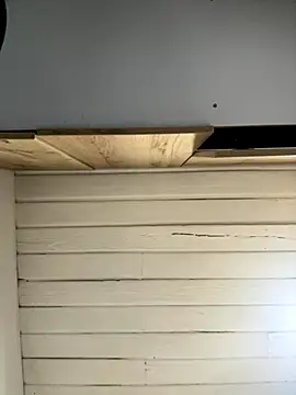 SienaWild online show from 12.01.25