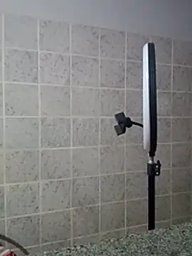 Cachorrinha2025 online show from 04.06.26