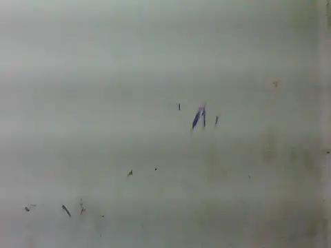 sweet bella16 online show from 01.16.26