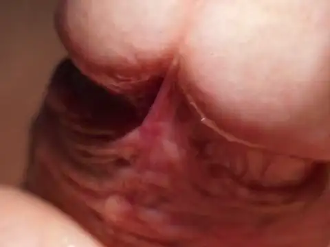 Kadazano online show from 04.07.26