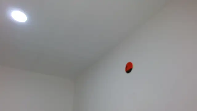 jaico santos online show from 02.16.26