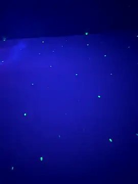 Snapshot of sweetttr chatting on 09.16.25 sweetttr online show from 09.16.25