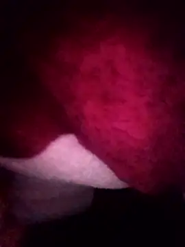 gccnfxdgg online show from 01.16.26