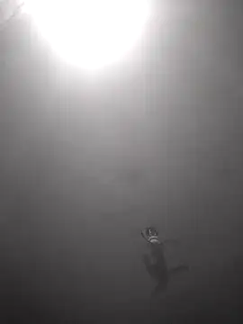 Snapshot of Hott_cutgirl chatting on 10.16.25 Hott cutgirl online show from 10.16.25