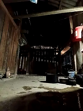 callistra online show from 04.07.26