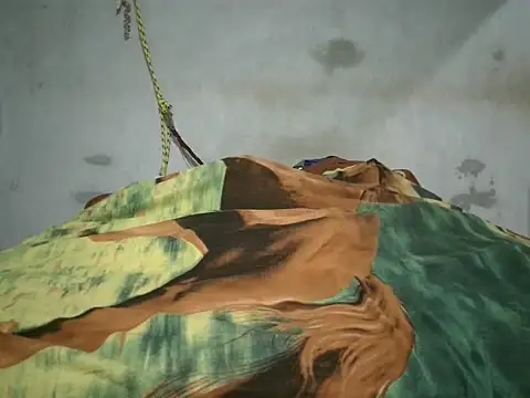 Alcee490 online show from 10.23.25