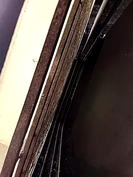 ipvk online show from 03.25.26