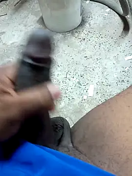 preto3561 online show from 02.09.26