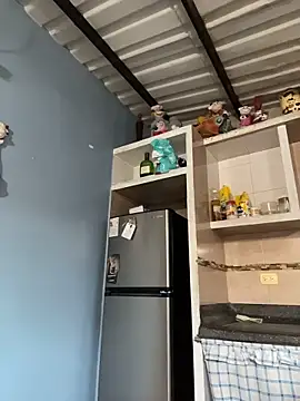 liahouses online show from 11.14.25