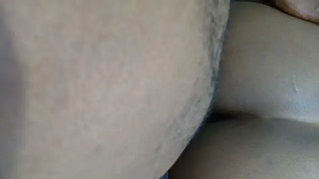 Dandelion enigman online show from 10.10.25