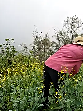 diamond-- online show from 03.29.26