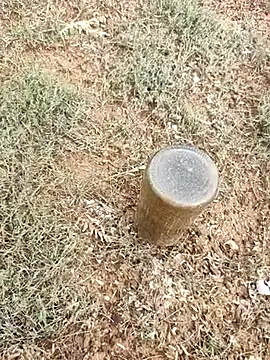 telugumodda4396 online show from 10.06.25