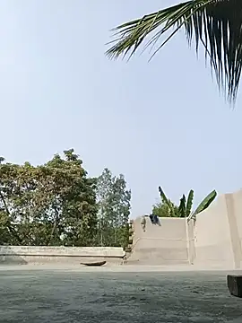 Snapshot of reya743 chatting on 02.03.26 reya743 online show from 02.03.26