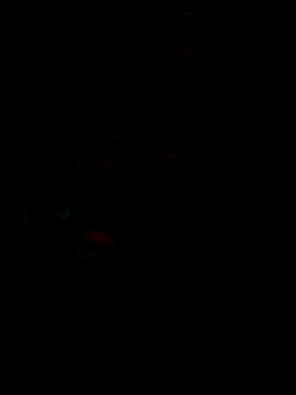 Snapshot of dinaaaaaaaa123 chatting on 10.10.25 dinaaaaaaaa123 online show from 10.10.25