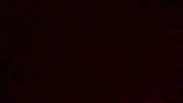 tora3220 online show from 04.05.26