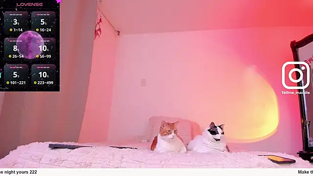 Snapshot of tellmemaddie chatting on 11.01.25 tellmemaddie online show from 11.01.25