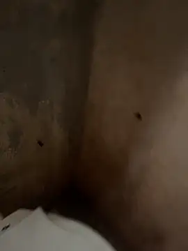 Snapshot of favelado33 chatting on 09.26.25 favelado33 online show from 09.26.25