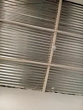 kingbickcockDn online show from 11.23.25