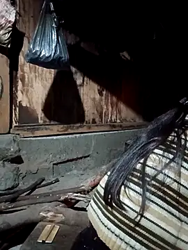 bree-zz online show from 03.12.26