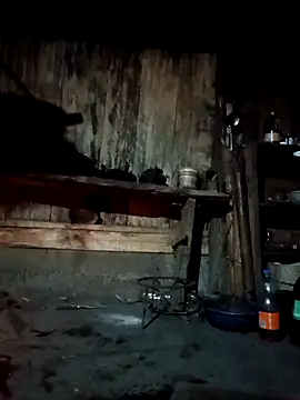 bree-zz online show from 04.07.26