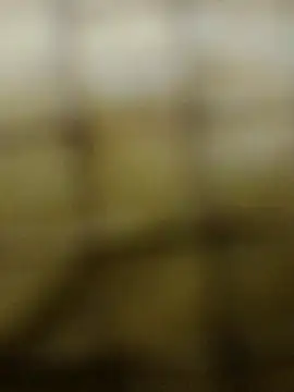 Rs sonam online show from 12.03.25