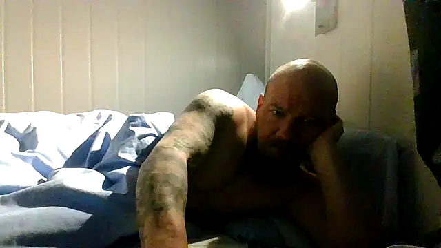 Real viking online show from 01.11.26