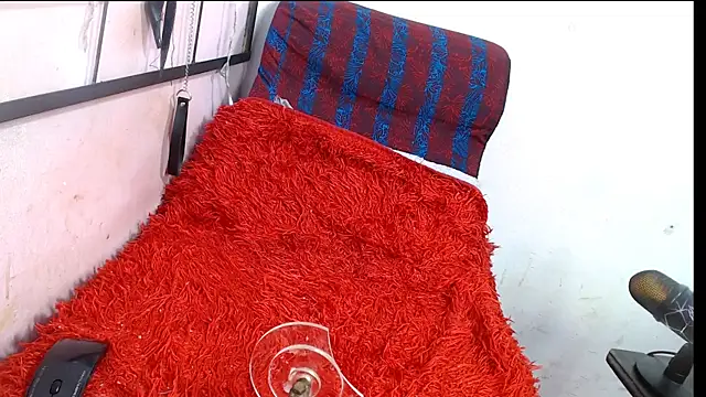 codorniz2025 online show from 01.08.26