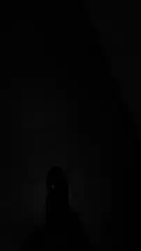 tia   fox online show from 11.24.25