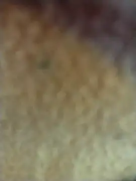 PEEHU-50 online show from 02.02.26