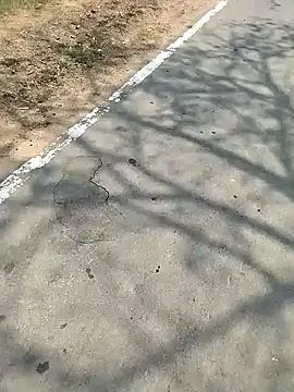 PEEHU-50 online show from 03.07.26