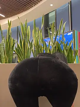 ilariea girl online show from 02.03.26