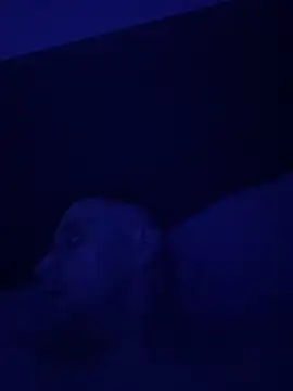 Wearpantyhosenorfolk online show from 04.26.26