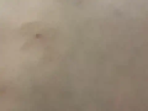 Snapshot of pleasedontpressaredburton chatting on 02.28.26 pleasedontpressaredburton online show from 02.28.26