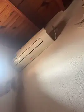 lcyatussbe online show from 10.29.25