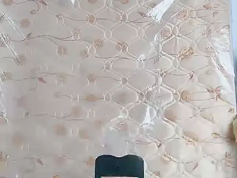 dachui 168 online show from 03.22.26