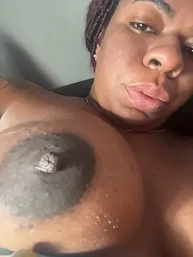 Priihmedeiros online show from 11.22.25