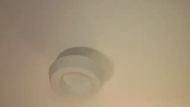 formoneyes online show from 10.31.25