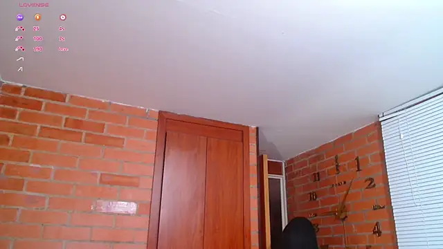 Snapshot of Salome-sw chatting on 02.02.25 Salome-sw online show from 02.02.25