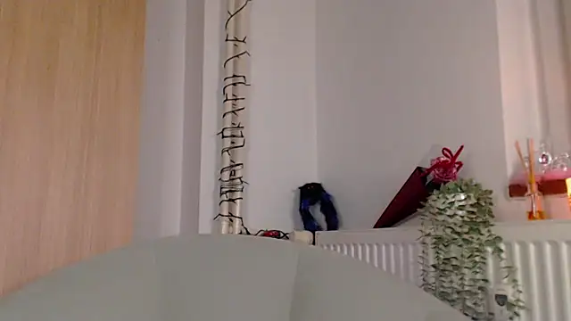 adacgrey online show from 02.18.26