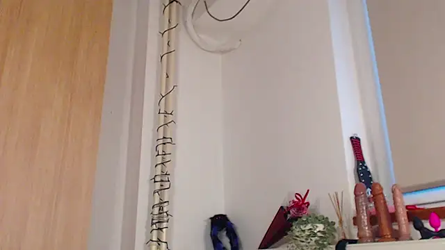 adacgrey online show from 03.02.26