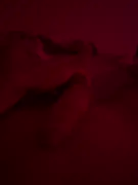 Snapshot of nieonixpeek19 chatting on 02.02.26 nieonixpeek19 online show from 02.02.26