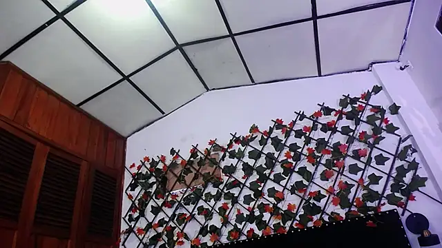 Snapshot of vauroraper chatting on 12.01.25 vauroraper online show from 12.01.25