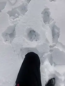 Snapshot of Sert_erkek21_ysm chatting on 01.06.26 Sert erkek21 ysm online show from 01.06.26